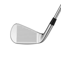 Quantum Max Irons (Steel)