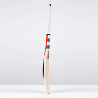 Power Scoop 500 Cricket Bat