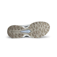 Golf Biom C5 Boa GTX Golf Shoes