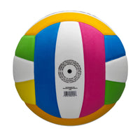 Pro Tour Volleyball
