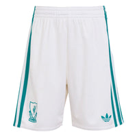 Liverpool 25/26 3rd Football Mini Kit