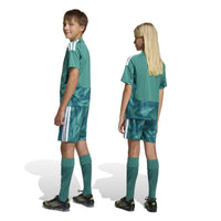 Germany 26 Home GK Football Shorts Jnr