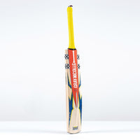 Havoc 1.0 HB317 Warriors Cricket Bat