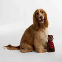 Llama Dog Toy