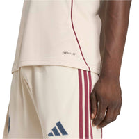 Ajax 25/26 3rd Football Shirt