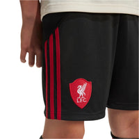 Liverpool 25/26 Away Football Shorts Jnr