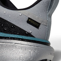 Pegasus 42 Gore-Tex Running Shoes