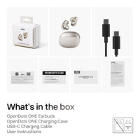 Shokz OpenDots One Headphones