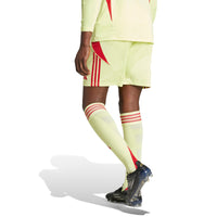 Tiro 24 Football Shorts