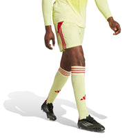 Tiro 24 Football Shorts