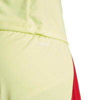 Tiro 24 Football Shorts