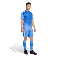 Tiro 24 Football Shorts