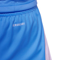Tiro 24 Football Shorts