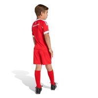 Bayern Munich 25/26 Home Football Mini Kit