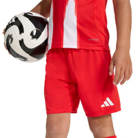 Bayern Munich 25/26 Home Football Mini Kit