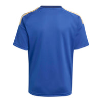 Italy 26 Home Fan Football Shirt Jnr