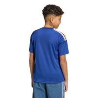 Italy 26 Home Fan Football Shirt Jnr