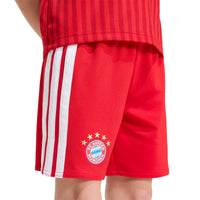 Bayern Munich 26/27 Home Football Mini Kit