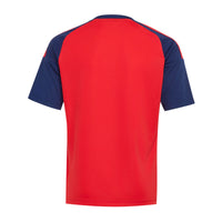 Spain 26 Home Fan Football Shirt Jnr