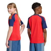 Spain 26 Home Fan Football Shirt Jnr