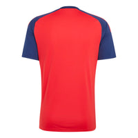 Spain 26 Home Fan Football Shirt