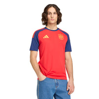 Spain 26 Home Fan Football Shirt