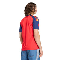 Spain 26 Home Fan Football Shirt
