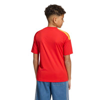 Belgium 26 Home Fan Football Shirt Jnr