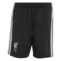 Liverpool 26/27 3rd Football Mini Kit