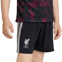 Liverpool 26/27 3rd Football Mini Kit