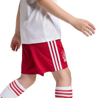Liverpool 26/27 Away Football Shorts Jnr