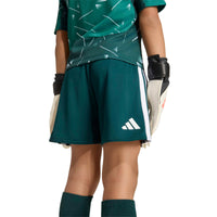 Liverpool 26/27 GK Football Mini Kit