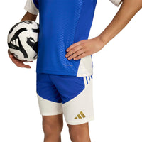 Juventus 26/27 Training Football Jersey Jnr