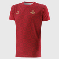 Partick Thistle 25/26 Training Football T-Shirt