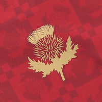 Partick Thistle 25/26 Training Football T-Shirt