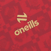 Partick Thistle 25/26 Training Football T-Shirt