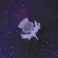 Partick Thistle Women's 25/26 GK Football Shirt - Women's