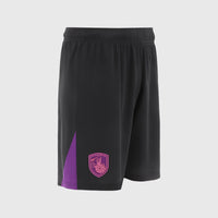 Falkirk 26/27 Players Training Shorts