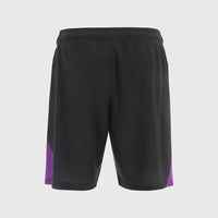 Falkirk 26/27 Players Training Shorts