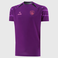 Falkirk 26/27 Players Training Football T-Shirt