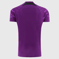 Falkirk 26/27 Players Training Football T-Shirt