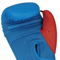 Kids Boxing Gloves And Focus Mitts Set