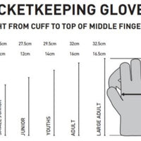 Rival Wicket Keeping Cricket Gloves