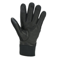 Waterproof All Weather Insulated Gloves
