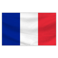 FRANCE-5FT FLAG
