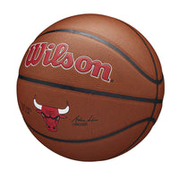 NBA Team Alliance Chicago Bulls Basketball