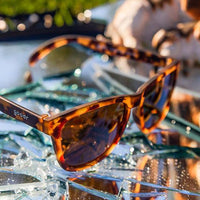 Bosley's Basset Hound Dreams Sunglasses