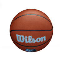 NBA Team Alliance Memphis Grizzlies Basketball