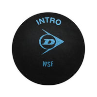 Intro Blue Dot Squash Ball