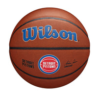 NBA Team Alliance Detroit Pistons Basketball